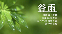 【二十四節(jié)氣灸】谷雨時節(jié)，用艾為您的健康加上一道保險！