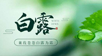 【二十四節(jié)氣灸】白露涼爽，養(yǎng)心肝脾胃、滋陰潤肺是關(guān)鍵！