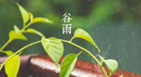 【二十四節(jié)氣灸】谷雨節(jié)氣脾土濕，艾灸降濕濁，脾旺不受邪！